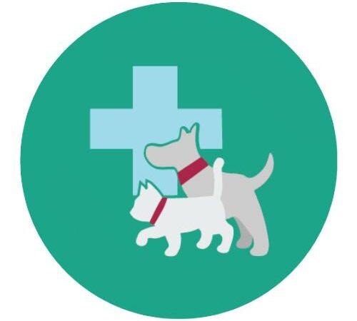 คลินิคแมว ใกล้ฉัน