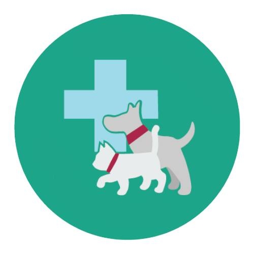 คลินิคแมว ใกล้ฉัน